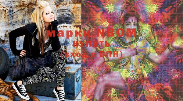 молекула духа Заполярный